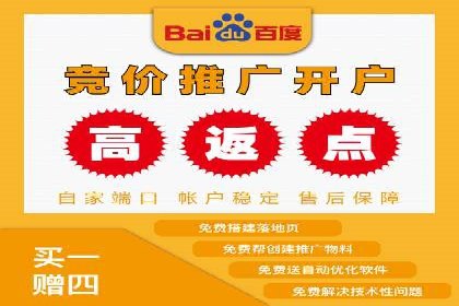 百度广告竞价策略详解：某电商平台的成功案例