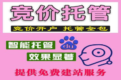 揭秘SEM竞价托管：实战案例深度解析